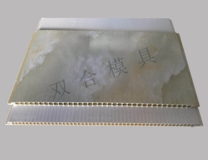 Sample cases