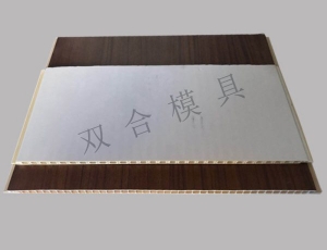 Sample cases