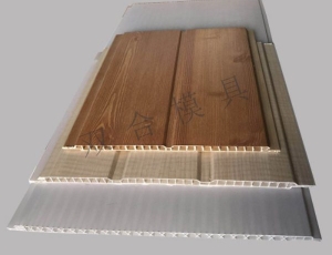 Sample cases