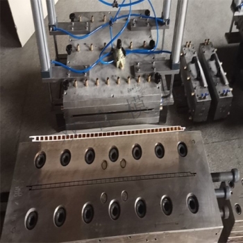 Dado mold